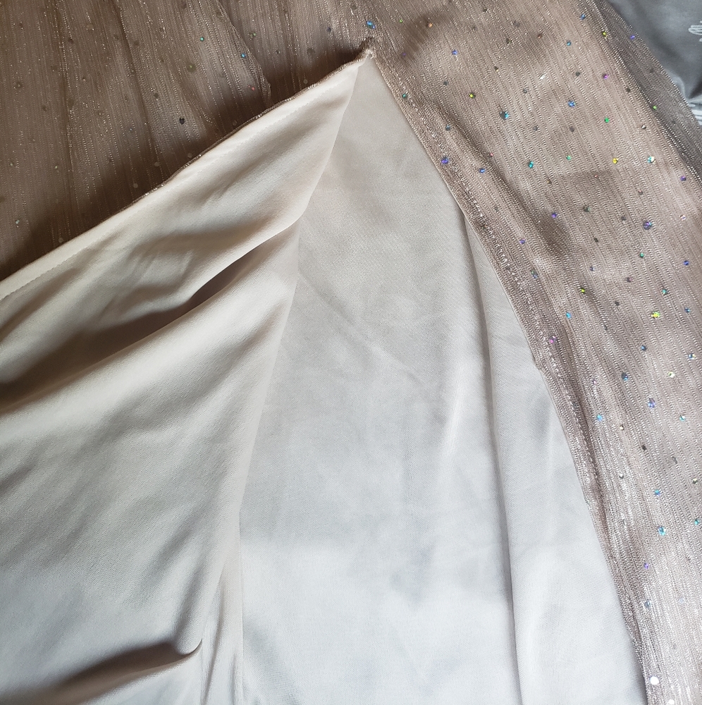 Baltic Born Albigal Champagne Sparkle Gown - Picture 9 of 10